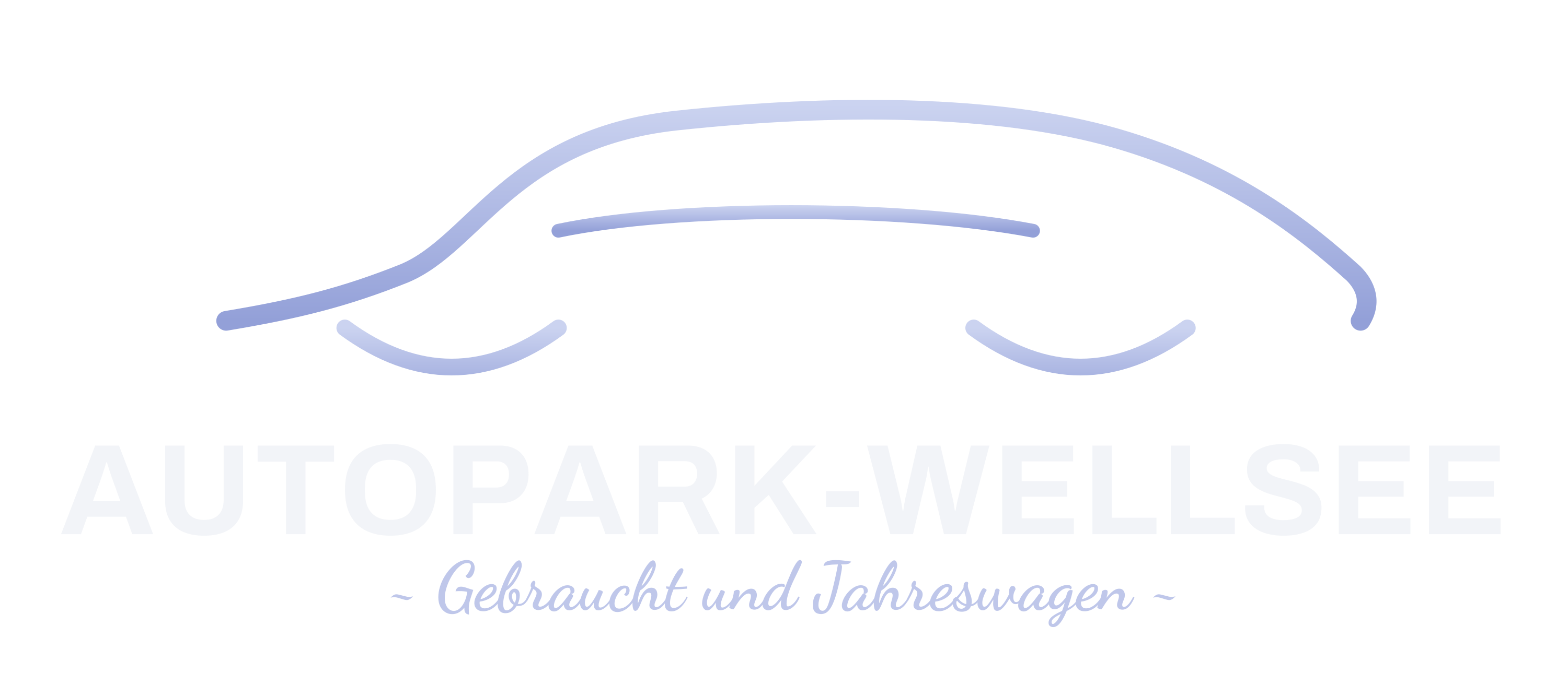 Autopark Wellsee – Startseite